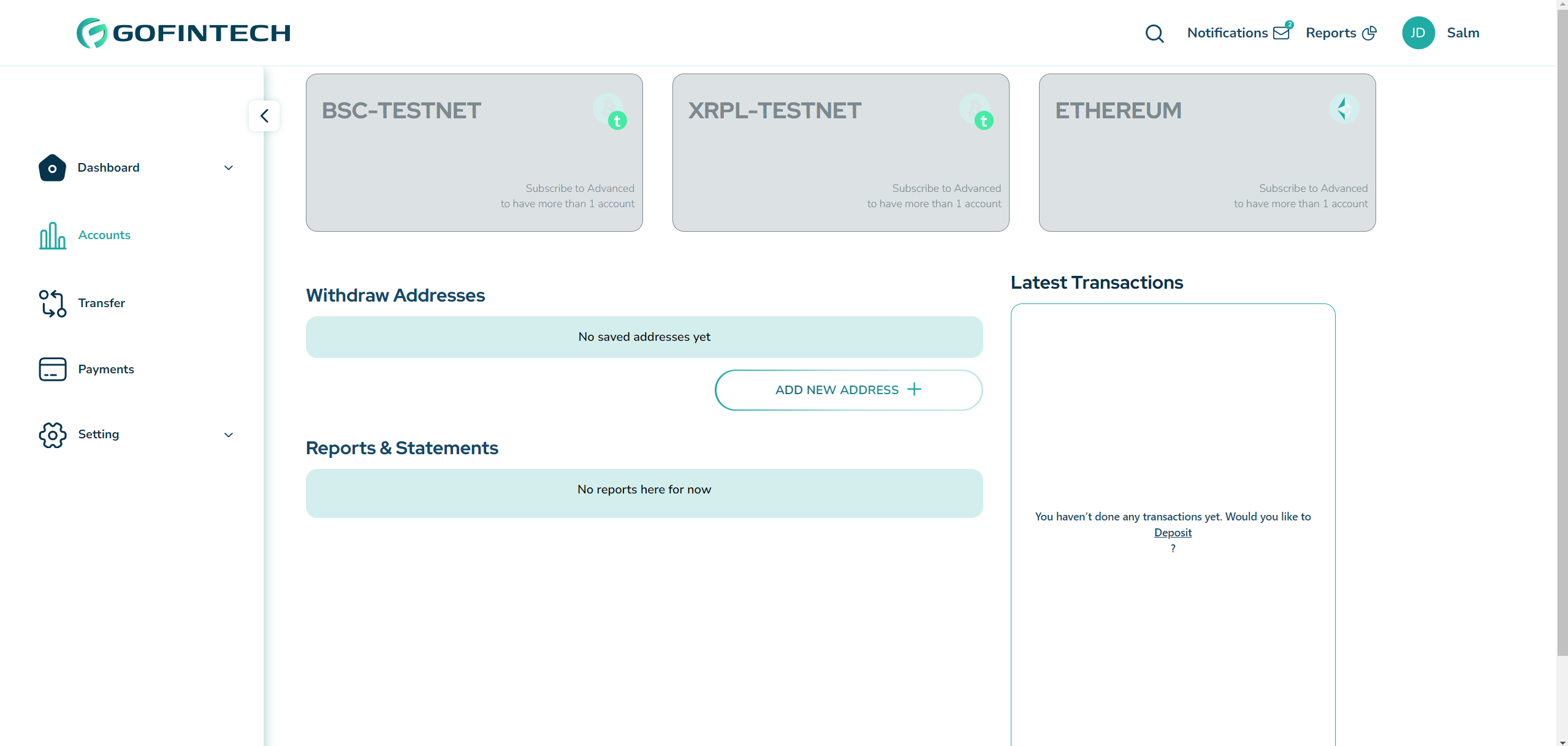 An image of the GoFintech project.